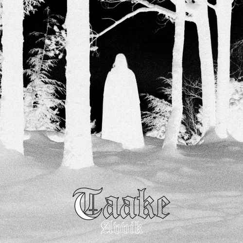 TAAKE - Avvik DIGI